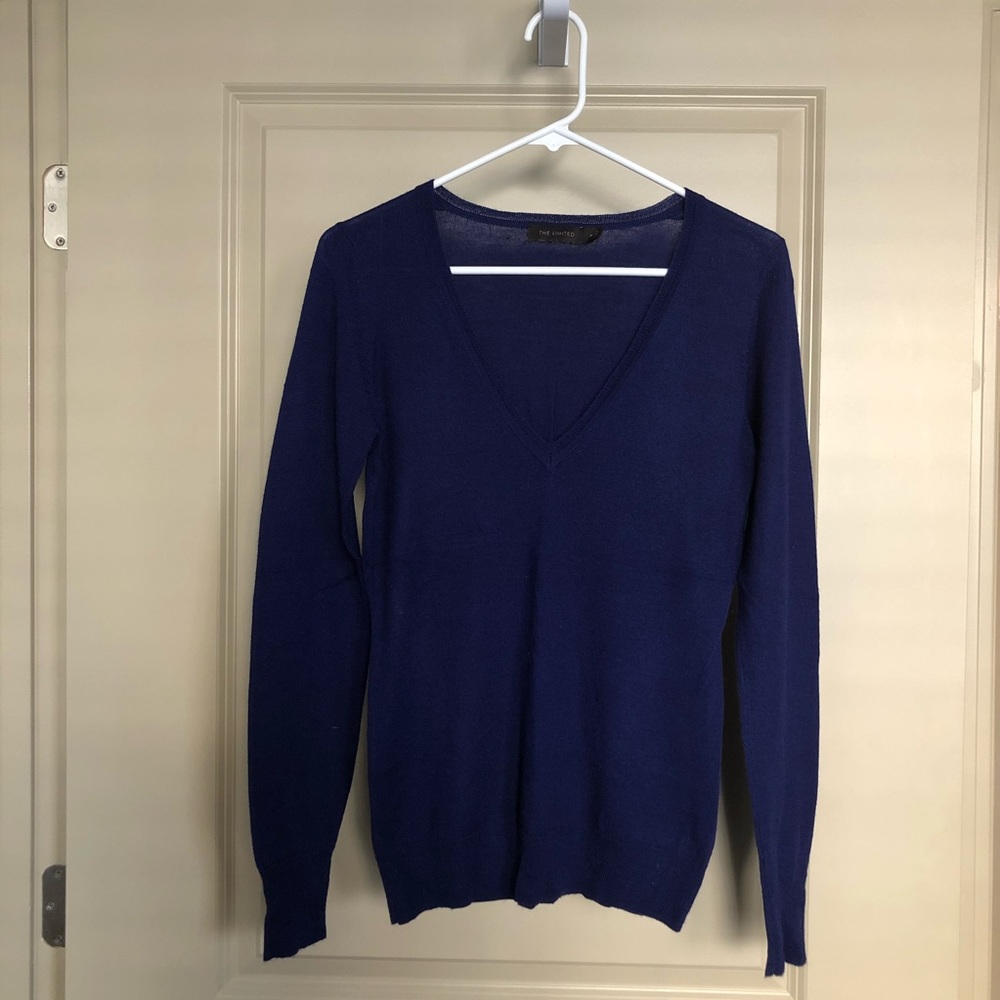 The Limited V Neck Sweater